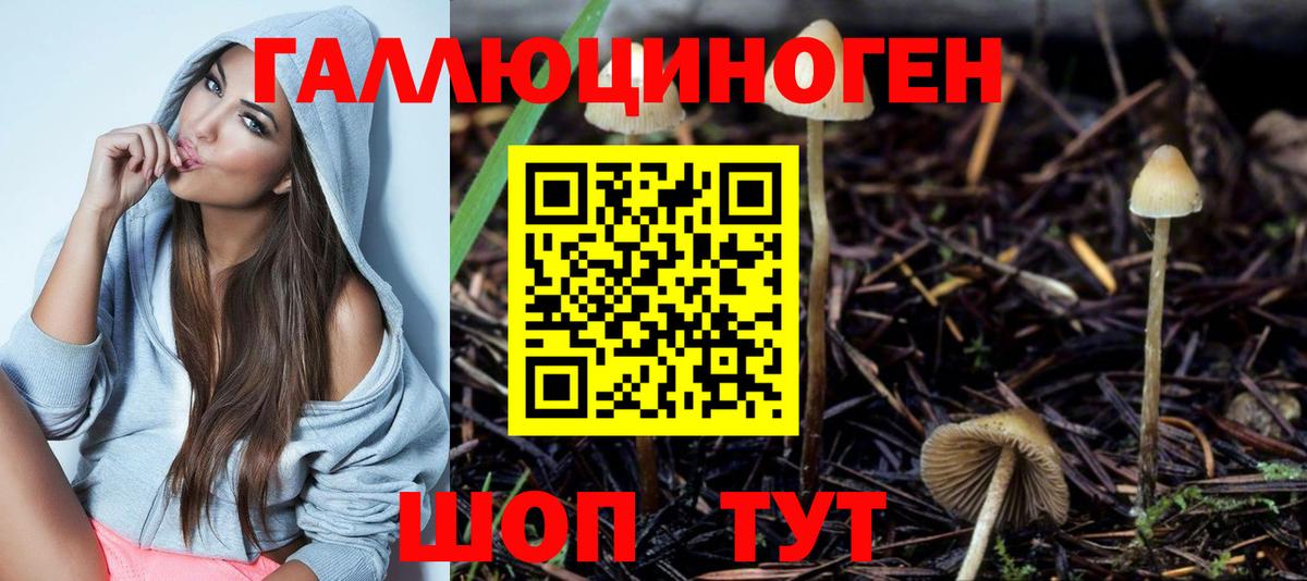 Псилоцибиновые грибы прущие грибы Воткинск