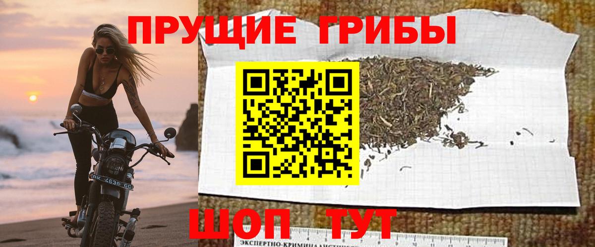Воткинск  Псилоцибиновые грибы Magic Shrooms  Вход с VPN 